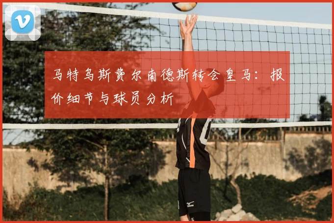 马特乌斯费尔南德斯转会皇马:报价细节与球员分析